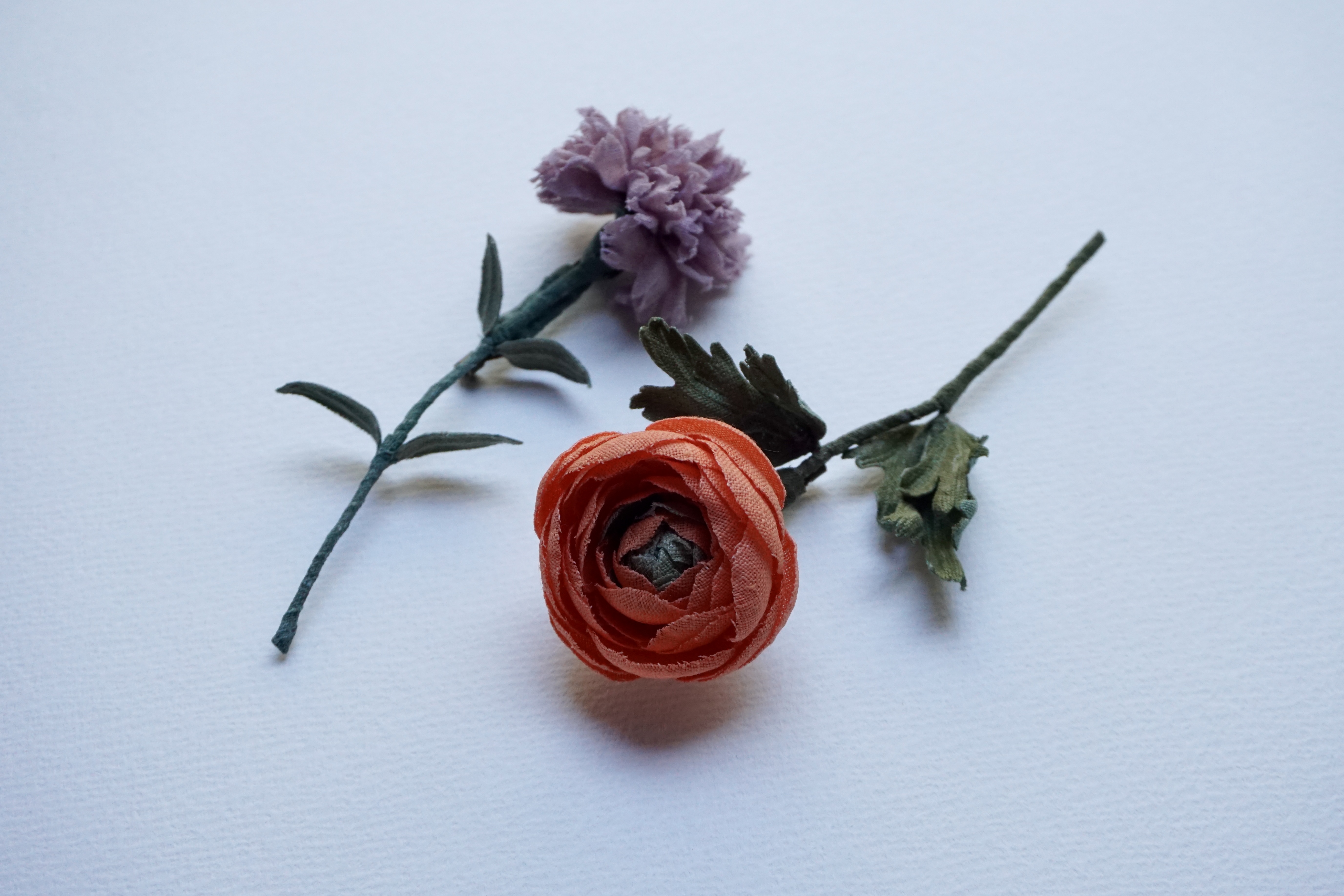DSC01278.jpg