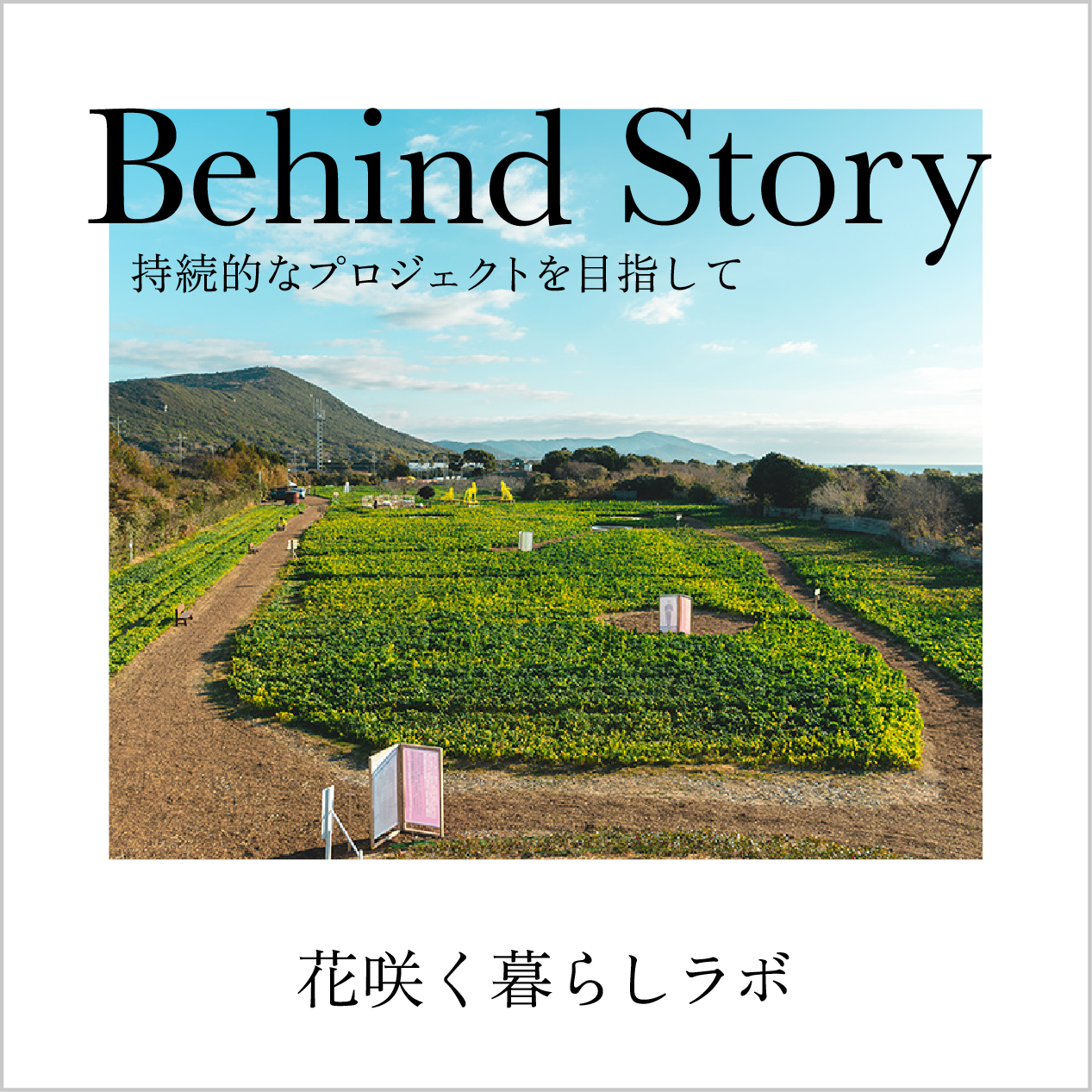 Behind Story ［ 花咲く暮らしラボ ］ | What's On | スパイラル SPIRAL
