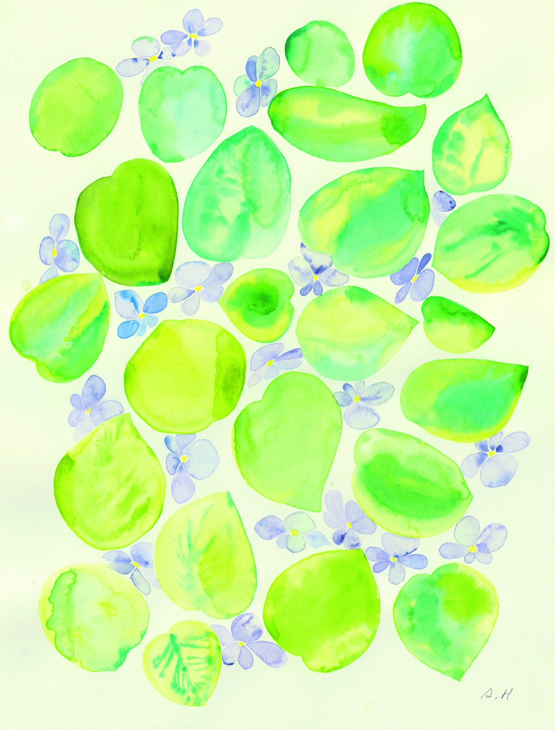 K.KAJU exhibitionと服部あさ美の植物画 | What's On